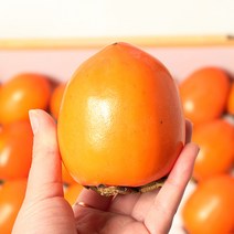 영암 금정 민정기님의 햇 대봉감 10kg(41~53과), 단품