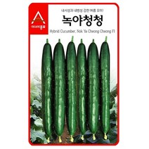 (아시아종묘/오이씨앗종자) 녹야청청오이, 40개