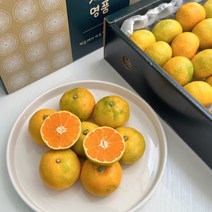 고당도 제주 하우스 감귤, 3kg (대과 가정용), 1개