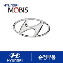 엠블럼-테일 게이트 로고 (863002B000)-현대모비스 부품 공식대리점 온라인쇼핑몰 파츠로 제네시스 싼타페