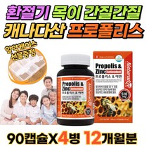 프로폴리스 알약 40대 직장인 50대 주부 여성 환절기 목이물감 목이간질간질 잦은기침 약국 플로폴리스 캡슐형 온가족 간절기 영양제