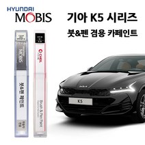 모비스 기아 K5 시리즈 카페인트 자동차 붓펜 SWP ABP AGT B4U EB STM 4SS, AGT(241)>인터스텔라그레이” class=”wr-img”></a></div>
</div>
</div>
</div>
<div class=