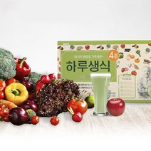 웰리유 김수경 하루생식 4주분(25g x 28포), 단품, 단품