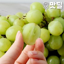 [맛딜]아삭아삭 사과포도 껍질째 먹는 애플청포도 4kg, 단품