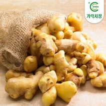 [온도씨]가락시장 생강 1kg, 1개