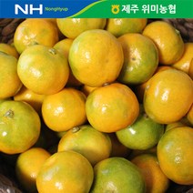 브랜드없음 제주 위미농협 하우스감귤 3kg(35-45과), 단품없음