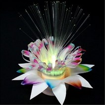 1+1 (SA) SA LED 크로마토그래피 꽃 가습기(1인), 5개
