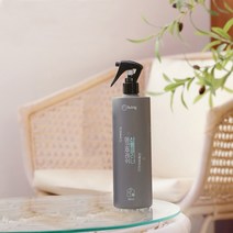 에코후레쉬 새집냄새제거 피톤치드향 새집증후군 탈취제 살균제, 500ml