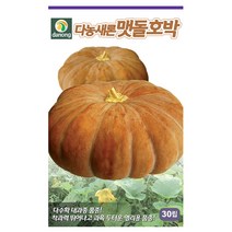 맷돌호박씨앗 60립, 없음, 단품없음