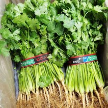 고수 150g, 150g(1개), 1개