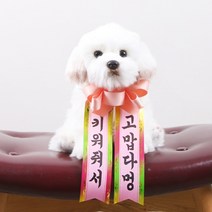 갓샵 인간화환 당일발송ver 강아지형 소형 졸업 결혼식, 5. 상태A급/하자없음/중고나라관리자올림