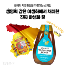 직수입 야생꿀 스페인 벌꿀 100% 천연벌꿀 500g 진짜 벌꿀 잡화꿀 야생화꿀 스페인산 허니 흘림방지 튜브캡 튜브 타입 백화점 꿀 튜브형, 1개