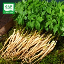 [새싹삼사랑터] GAP 인증 새싹삼 미니100/소70/중50/대30/ & 3년근30/4년근20뿌리, 대30뿌리