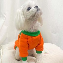 모두의 파티 데코 펫 할로윈 인쇄 후드의상- 6701129EA, 쿠팡 S-보험가입