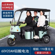 다인승 오토바이 삼륜 전동차 세발 전기 스쿠터 미니 카트 미니 노인 장애인, 60V, 800W 60V 20A 납산 배터리