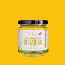 지리산 100% 천연벌꿀 아카시아꿀 300g, 2병
