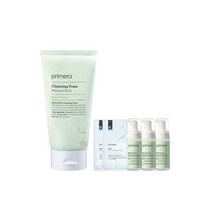 primera 프리메라 내추럴 리치 클렌징폼 대용량 250ml +폼 50ml 3개+팩2개