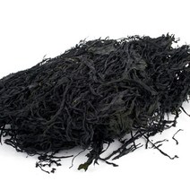 예찬 [완도금일수협] 청정바다 냉풍미역 50g, 냉풍미역 50gx10봉