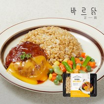 바르닭 한식도시락 귀리밥&함박스테이크 (1/5/10팩), 귀리밥 함박스테이크 1팩