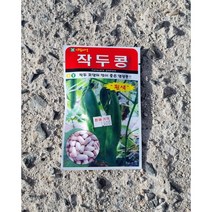 작두콩종자 (백색 5알), 5개