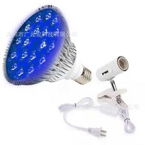 지픽스 주열기 발열기 온열 개인용 전신 휴대용, 레드(램프 홀더 포함)