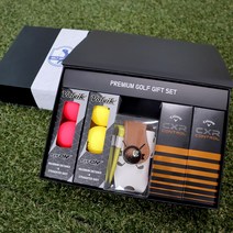 [주문제작]골프공 각인 프리미엄 골프용품 선물세트 부모님 친구 모임 SM-15, 07.카네이션
