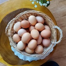 맛좋은달걀 가성비 비교