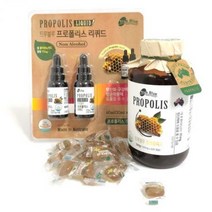 트루블루 프로폴리스 호주산 스프레이 캡슐 리퀴드 원액, one option, 4. 프로폴리스 캔디 800g