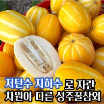 [66년농부의비법] 마미템 제철 달달 성주참외 고당도 꿀참외 못난이 가정용 정품 3kg 5kg 혼합, 정품 꿀참외 5kg