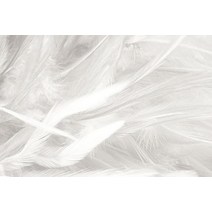 사용자 정의 깃털 벽지 TV 배경 벽 거실 흑백 침실 3d 벽화, 02 2_06 Seif-adhesive Canvas