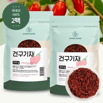 국산 진도 말린구기자 건 구기자 건조 열매 300g, 2팩