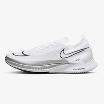 나이키 스트릭플라이 DJ6566-101