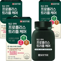 그린 프로폴리스 머빈스 츄어블 브라질 면역력 항산화 항균 구강 60캡슐, 3개