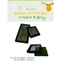 윌로모스 모스카펫활착 가로10cm 1개 (음성수초 활착 초보자)
