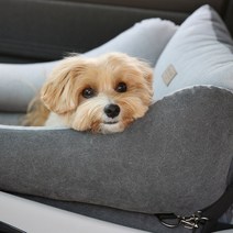 강아지 카시트 고양이 카시트 깔끔 커버분리형 리토가토 그레이 / 카시트+안전고리1세트, 블루