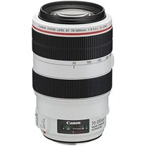 캐논 EF 70-300mm F4-5.6L USM 망원 줌 렌즈, 전판