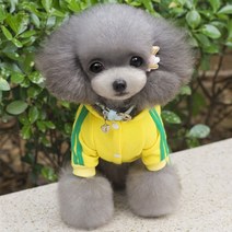 펫리 츄리닝 강아지 트레이닝복 올인원 강아지옷, 핑크