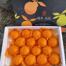 응이마켓 레드향 고당도 산지직송 가정용 선물용 3kg 5kg