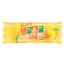 아이스크림 COOL 위즐 커피앤초코퍼지 6개 (1박스), 40개, 생귤탱귤 40개