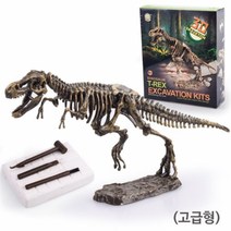 공룡화석 발굴키트(대), _13587_브라키오사우루스