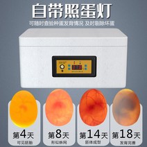 계란36란 인큐베이터 인큐베이팅 달걀 부화기 알, 업그레이드 단일품 기본구성5