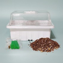 리톱스 파종세트(믹스200립) /다육식물키우기 선인장, 1개