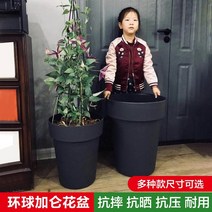 동양난 서양난 승진 화분 새로운 글로벌 하이 4갤런 7갤런 15갤런 국제 네덜란드 사진, 미색 특대 15갤런, 트레이 포함