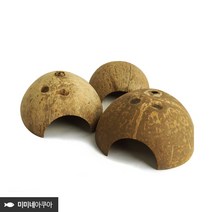 천연 코코넛 은신처 소 (10cm 내외) - 물고기은신처