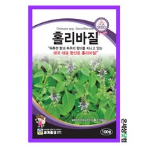 홀리바질 100립 / 허브 씨앗 종자 향신료 태국음식