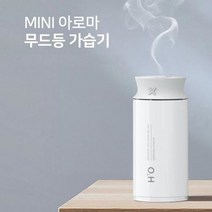 샤인빈 LED무드등 지속용 타이머 USB차량용 가습기, 단품