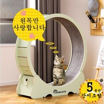 RUNCATS 무소음 간단 설치 캣휠 고양이캣휠, 간단 설치M(91*36*98), 아보카도 그린