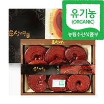 문상영버섯농장 유기농 영지버섯 1kg 특품, 1개