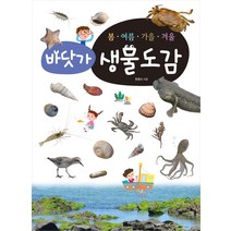 봄 여름 가을 겨울 바닷가 생물도감, 진선아이