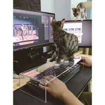 홈오피스 투명 아크릴 키보드 커버 고양이 애완동물 방해 금지 테이블 정리 선반 보호 자판 패드, 1개, 50 X 17 X 10cm 두께 1cm